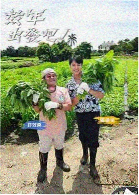 街头美食巡礼 日韩综艺在线看